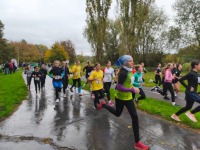 obrázok 6 z Okresné kolo v cezpoľnom behu